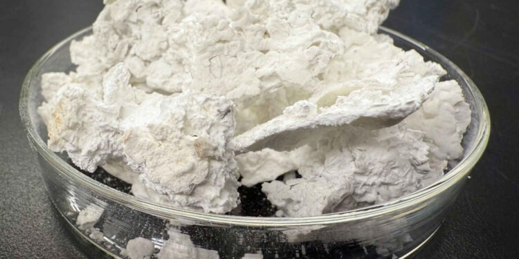 Semen masa depan berasal dari air laut dan menyimpan CO2